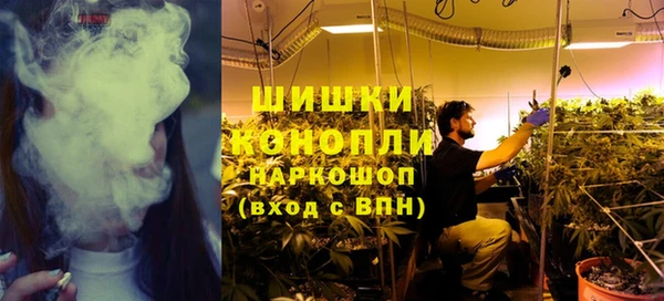 винт Арсеньев