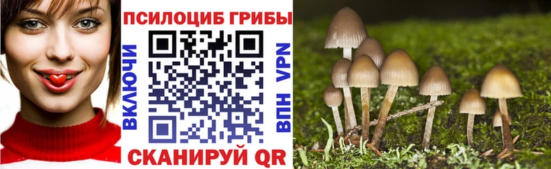 Галлюциногенные грибы Magic Shrooms OMG вход Минеральные Воды